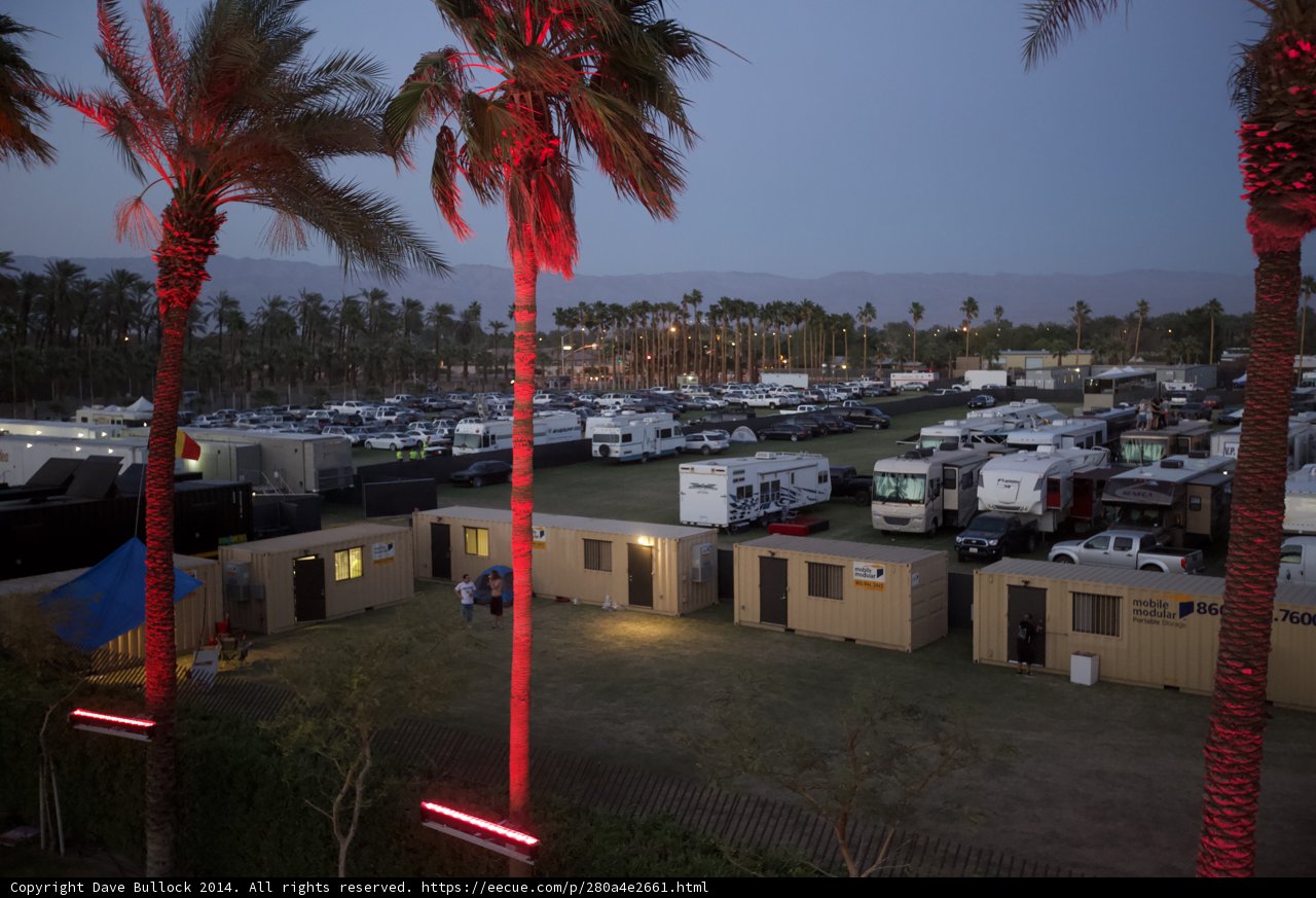 Red Light on Palm Tree