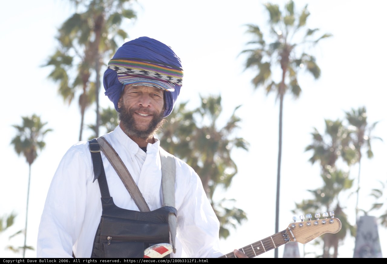 Turbaned Guitarist Smiling Under a Palm Tree