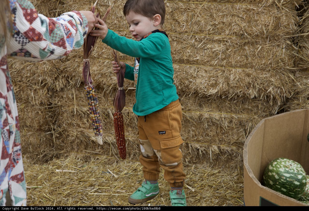Harvest Days in Walnut Creek