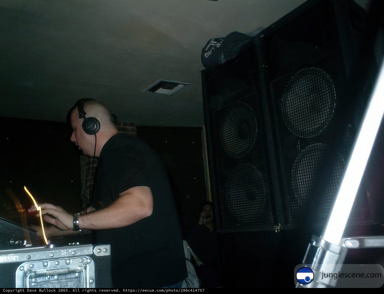 Party DJ in Action