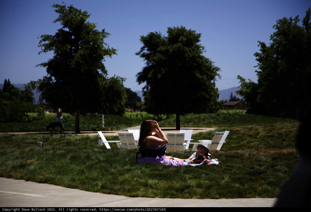 A Serene Summer Afternoon