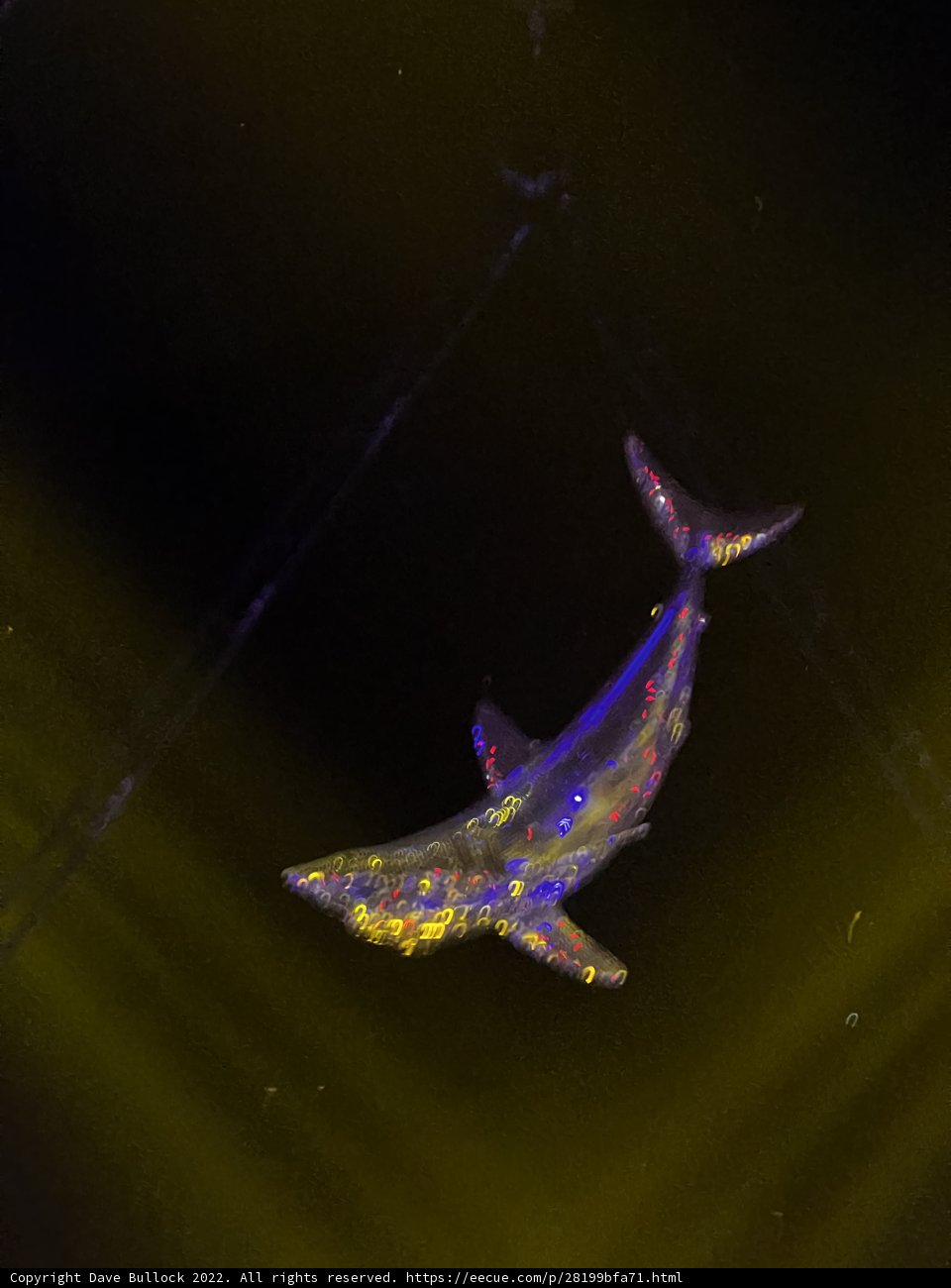 Illuminated Predator