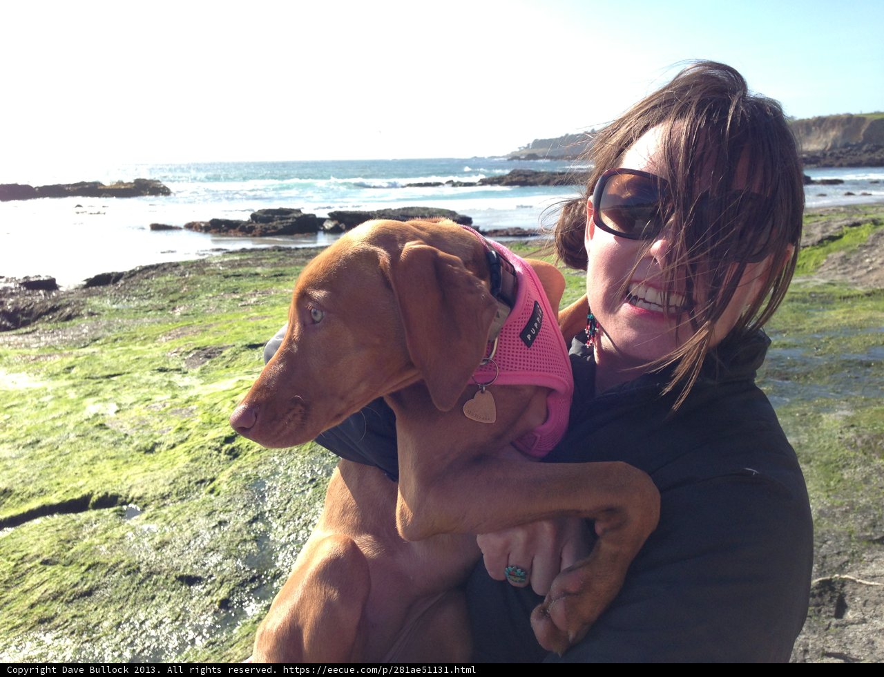 Woman and Vizsla on Carmel Beach
