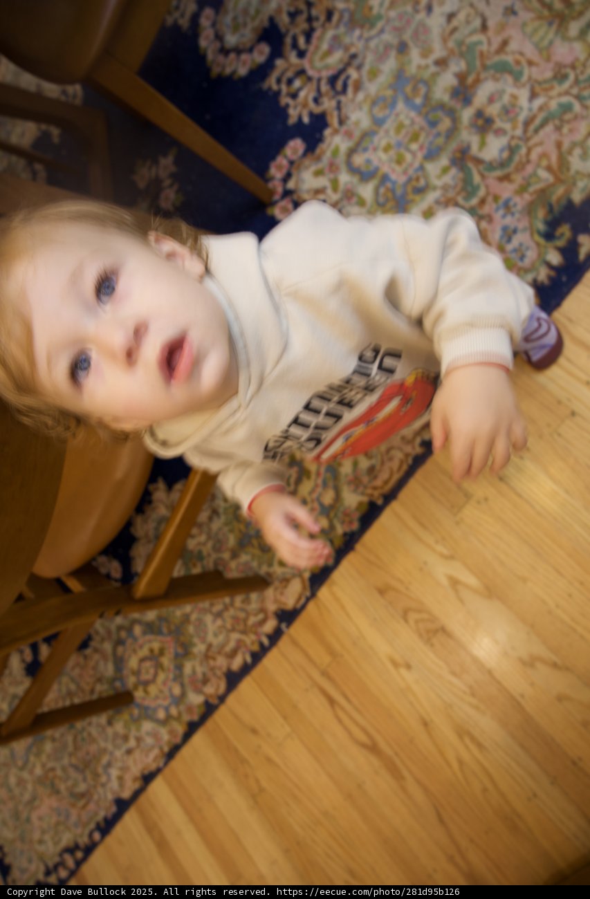 Curious Steps