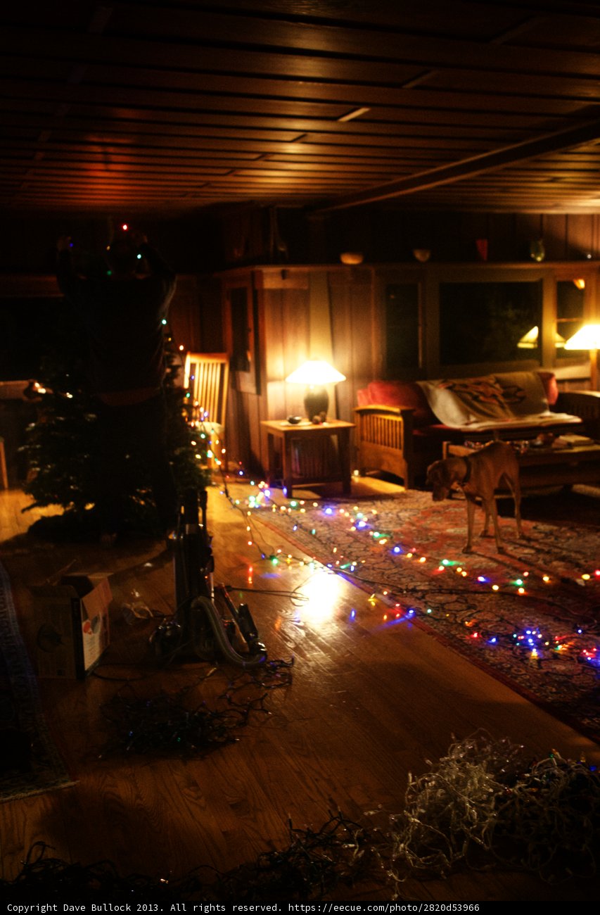 Festive Living Room