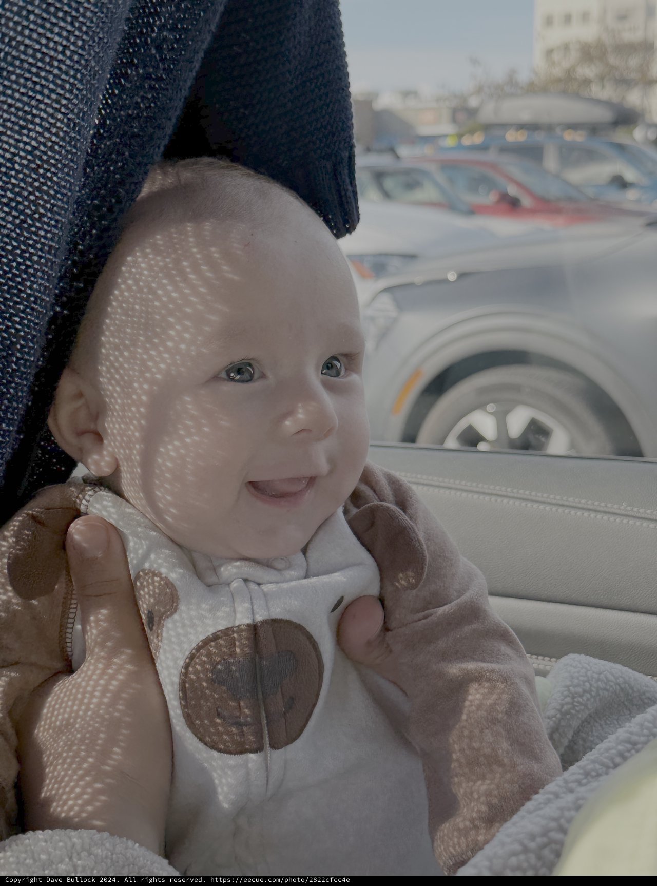 Baby's First Car Ride in Dappled Sunlight