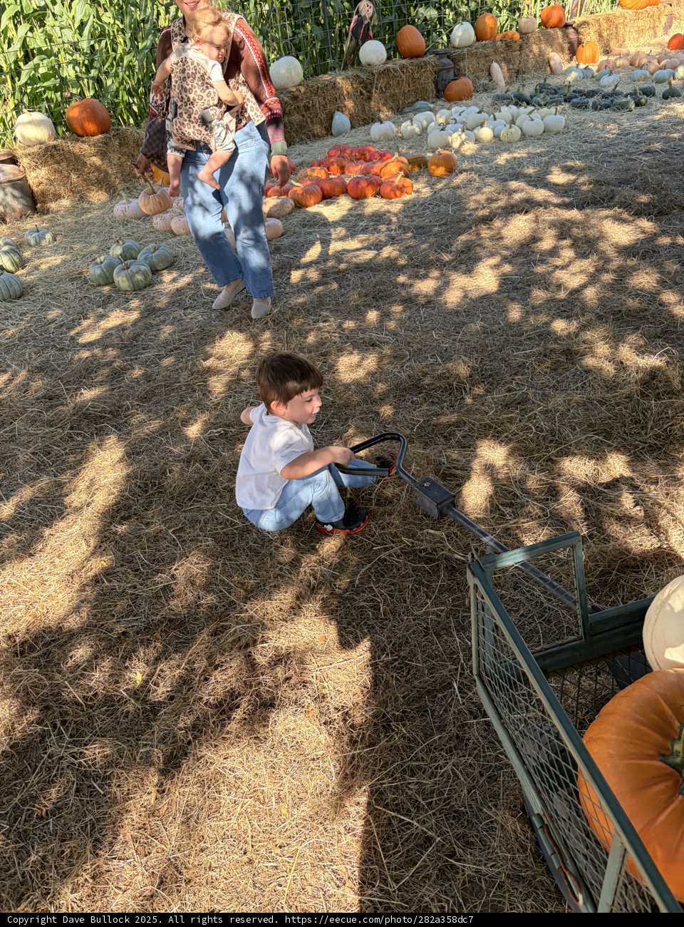 Autumn Harvest Fun