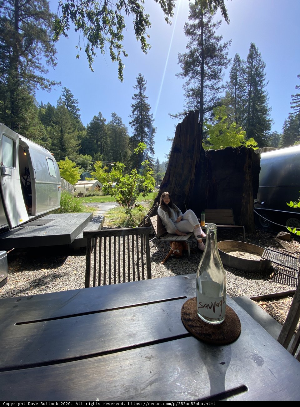 Wine and Nature