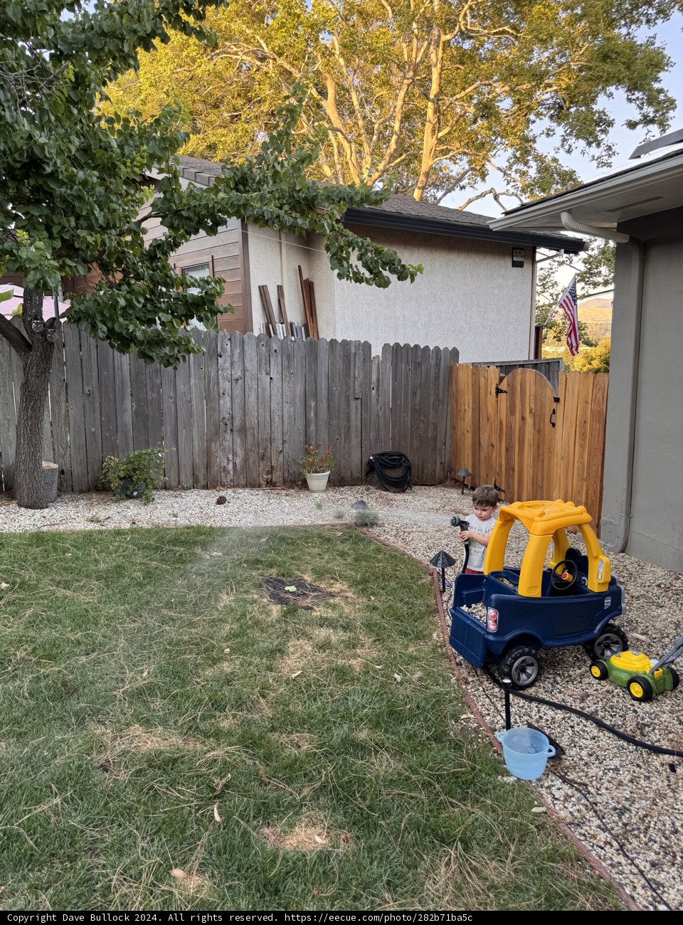 Summer Day in the Backyard