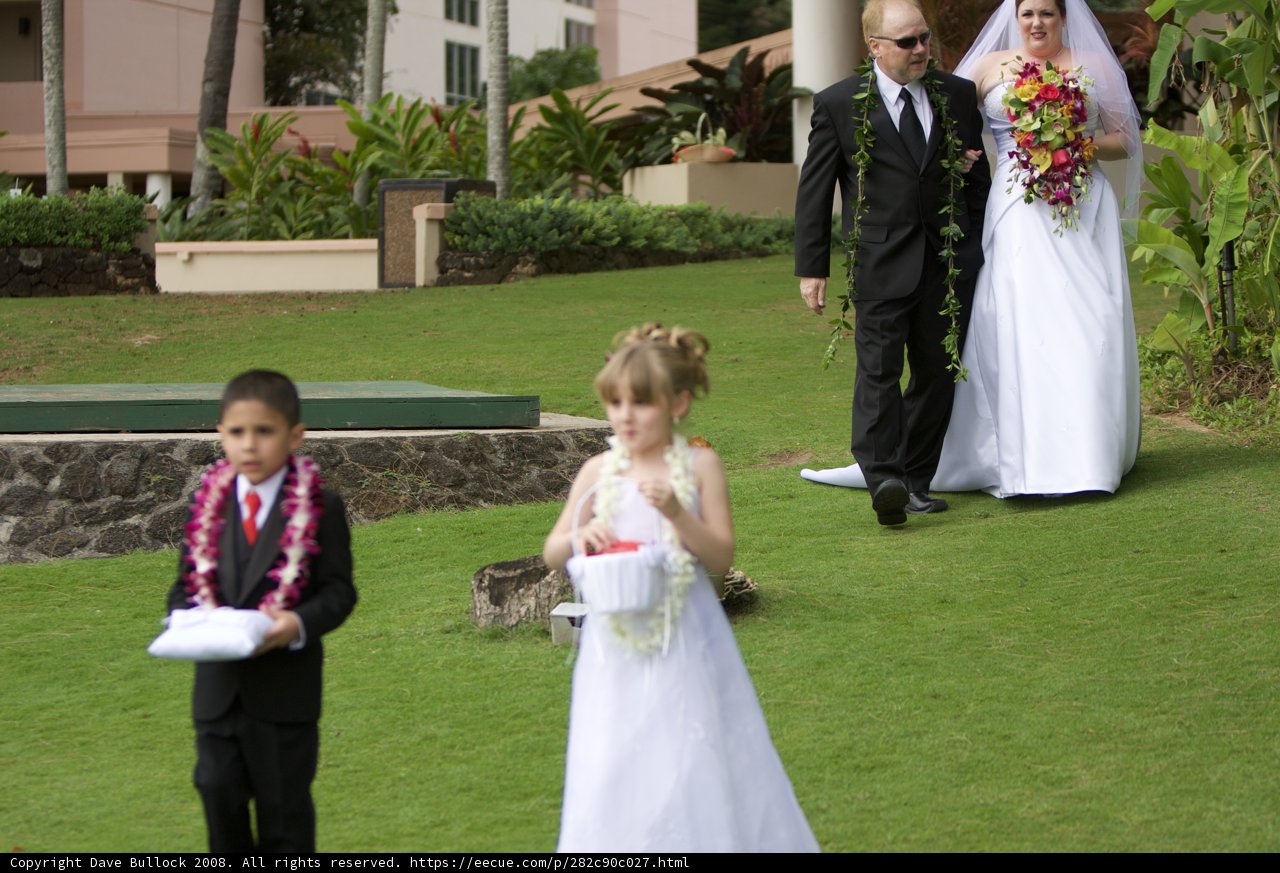 A Picture-Perfect Hawaiian Wedding with the Little Ones