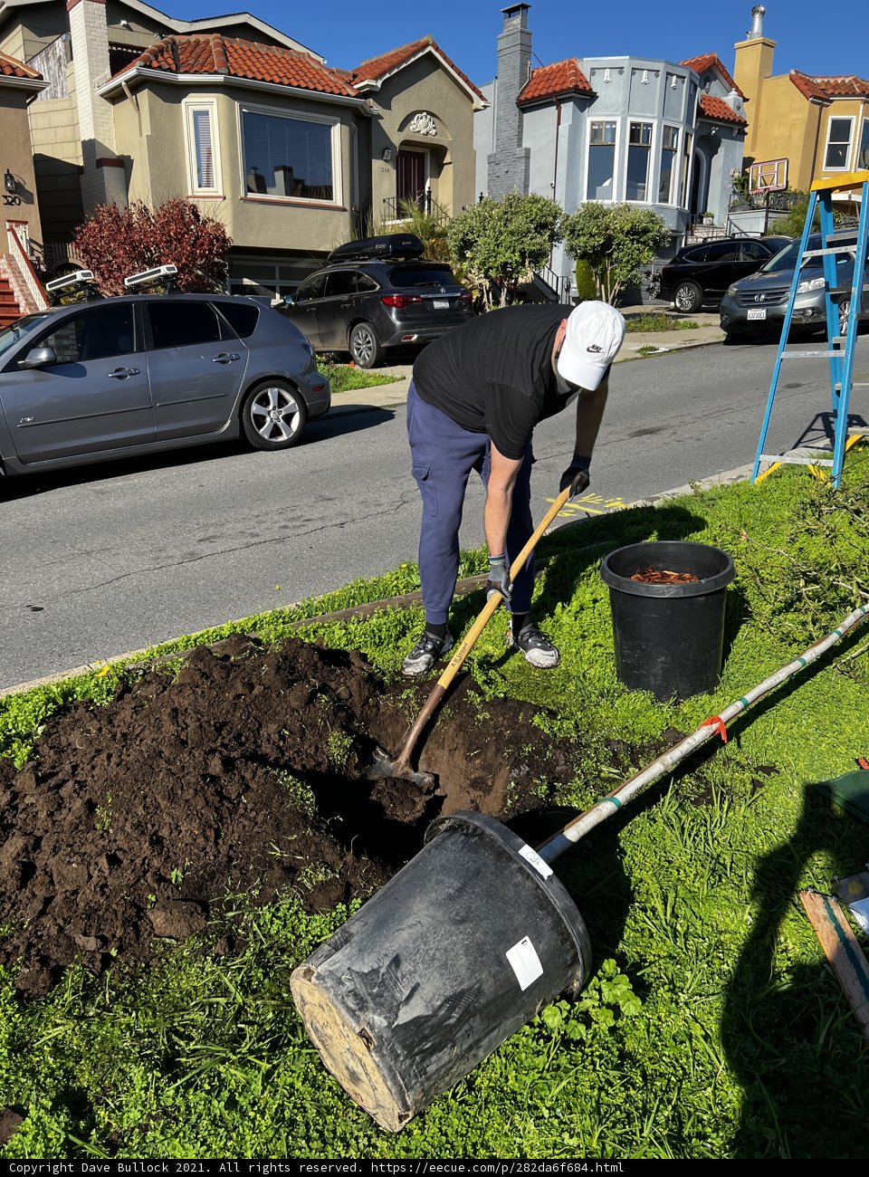 Digging Down to the Roots