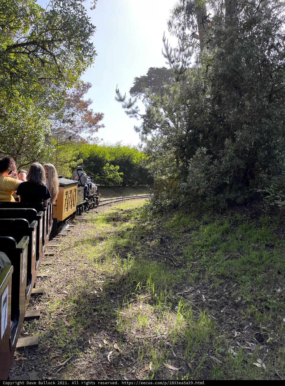 Train Ride through the San Francisco Wilderness