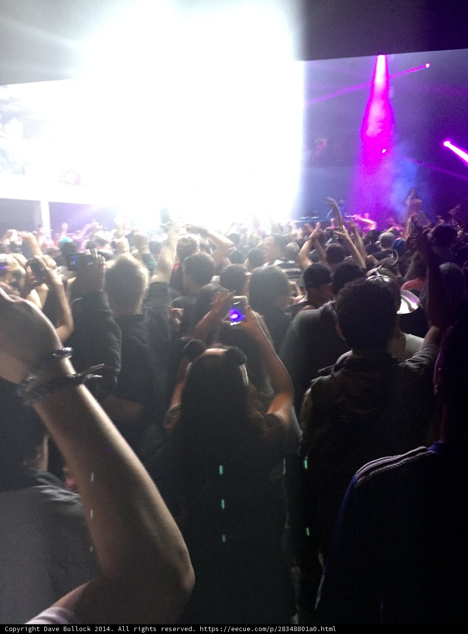 Bright Lights and the Beat Drop