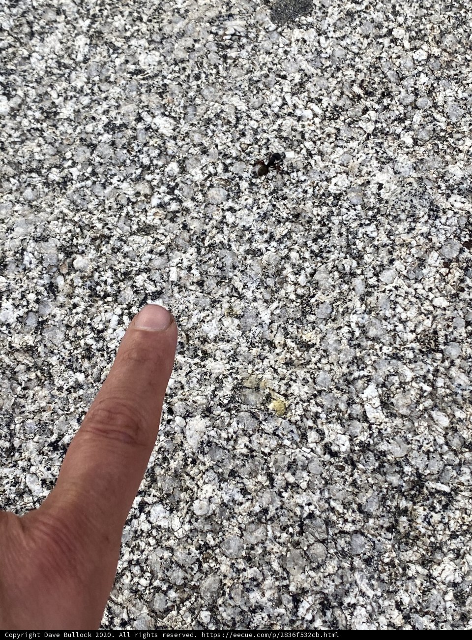 Pointing Out Geologic Wonders