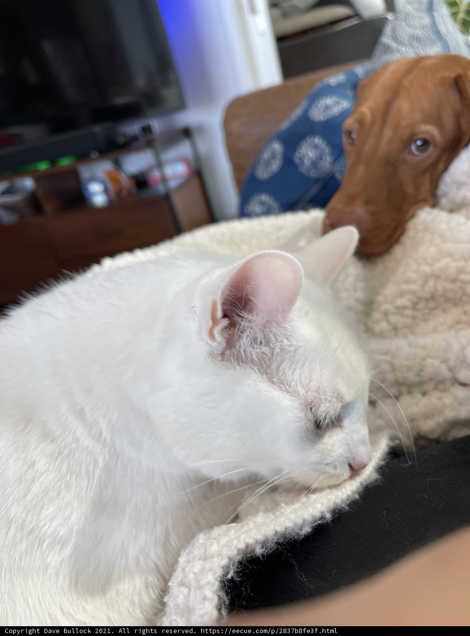 Screen Mates
