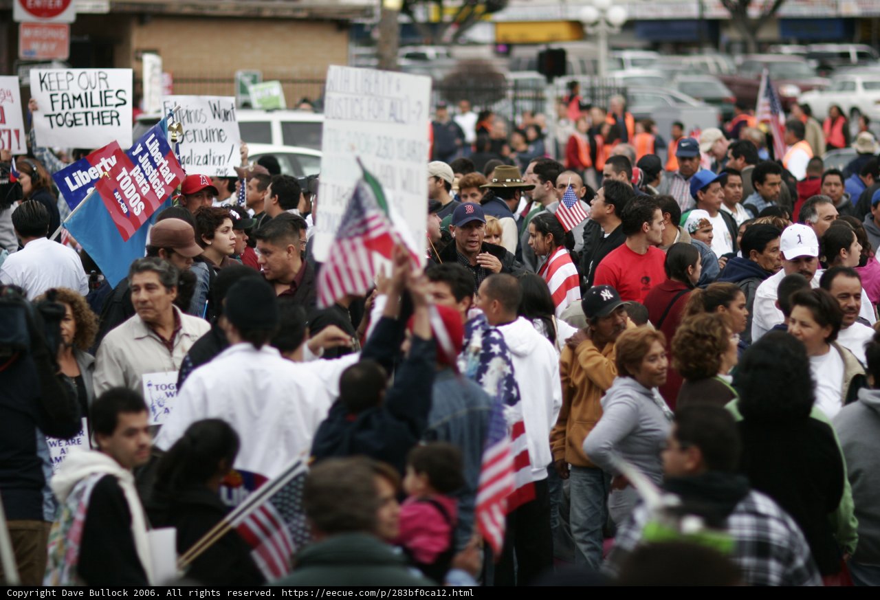 The Thrilling Protest Parade