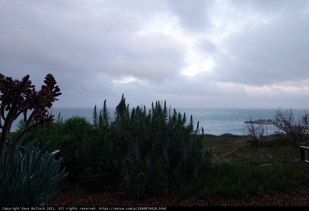 A Glimpse of the Ocean from the Hillside