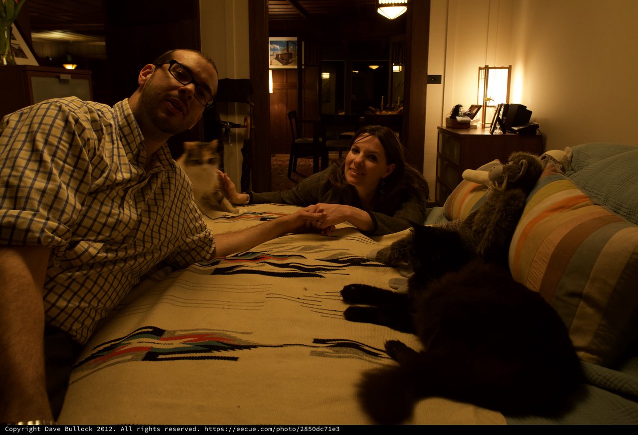 Couple Relaxing on Floor with Cats at Night