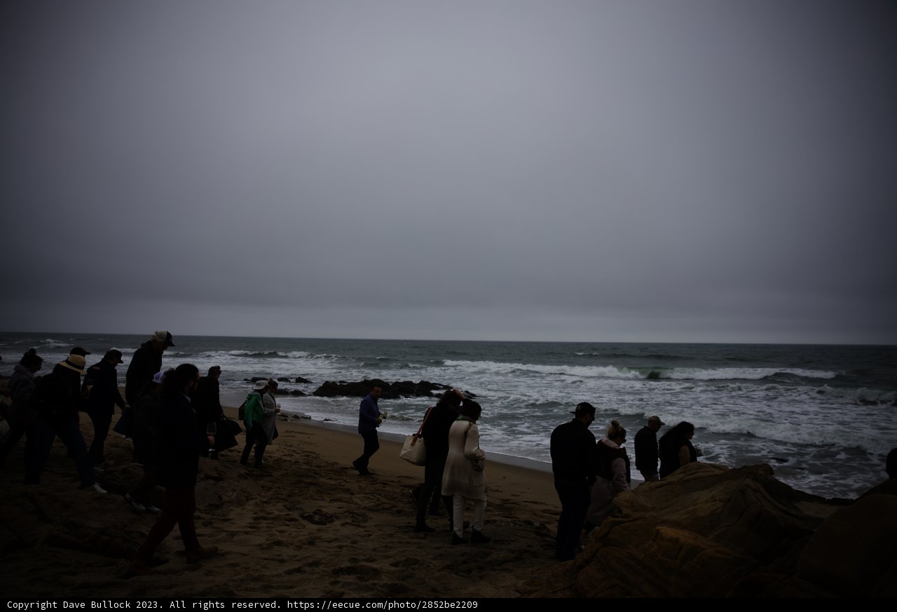 A Memorable Coastal Gathering in Pescadero