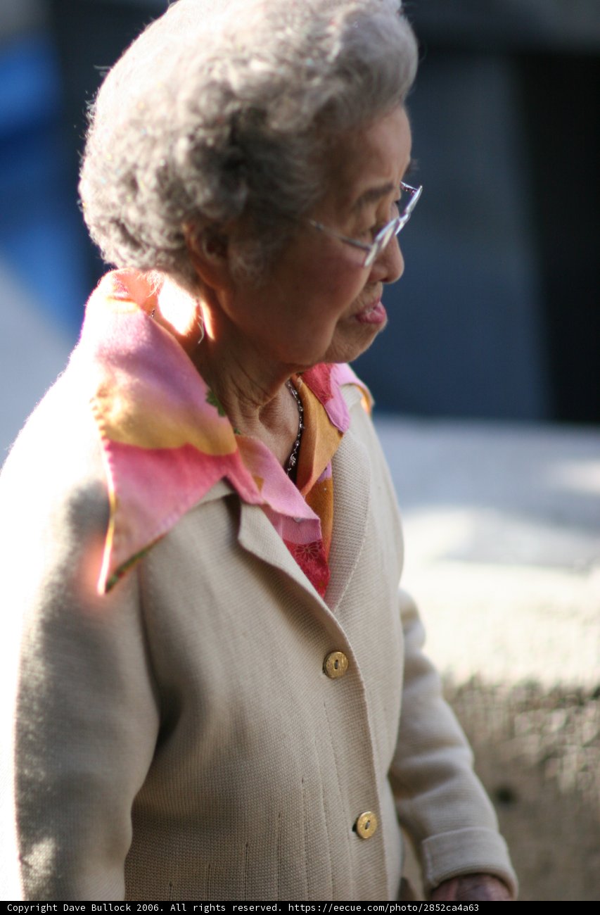 Stylish Senior Lady