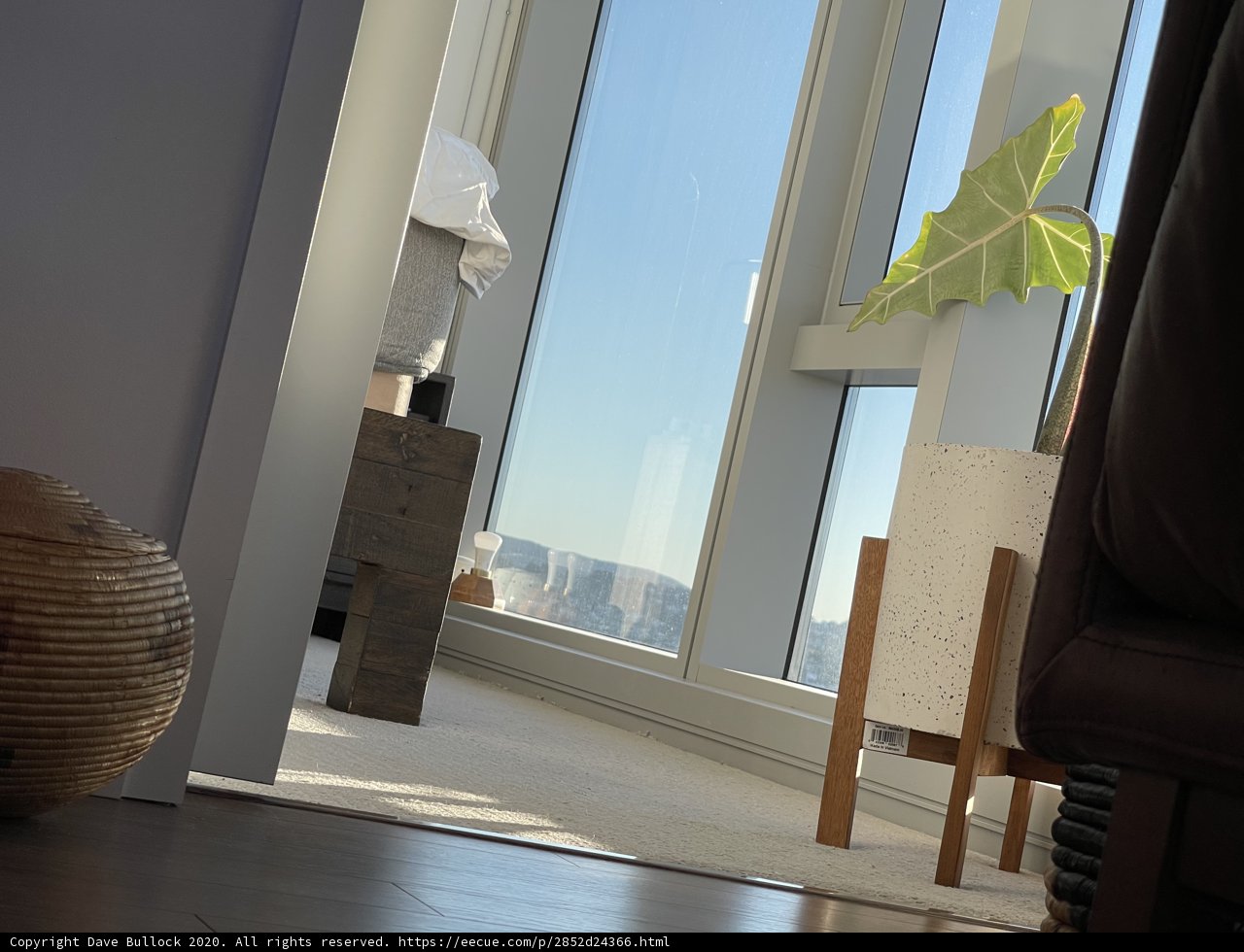 Serene San Francisco Interior