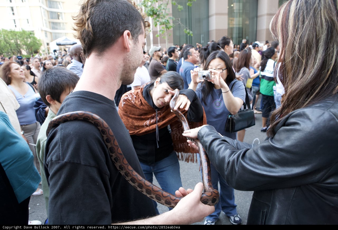 Snake Charmer at Ozomatli Concert