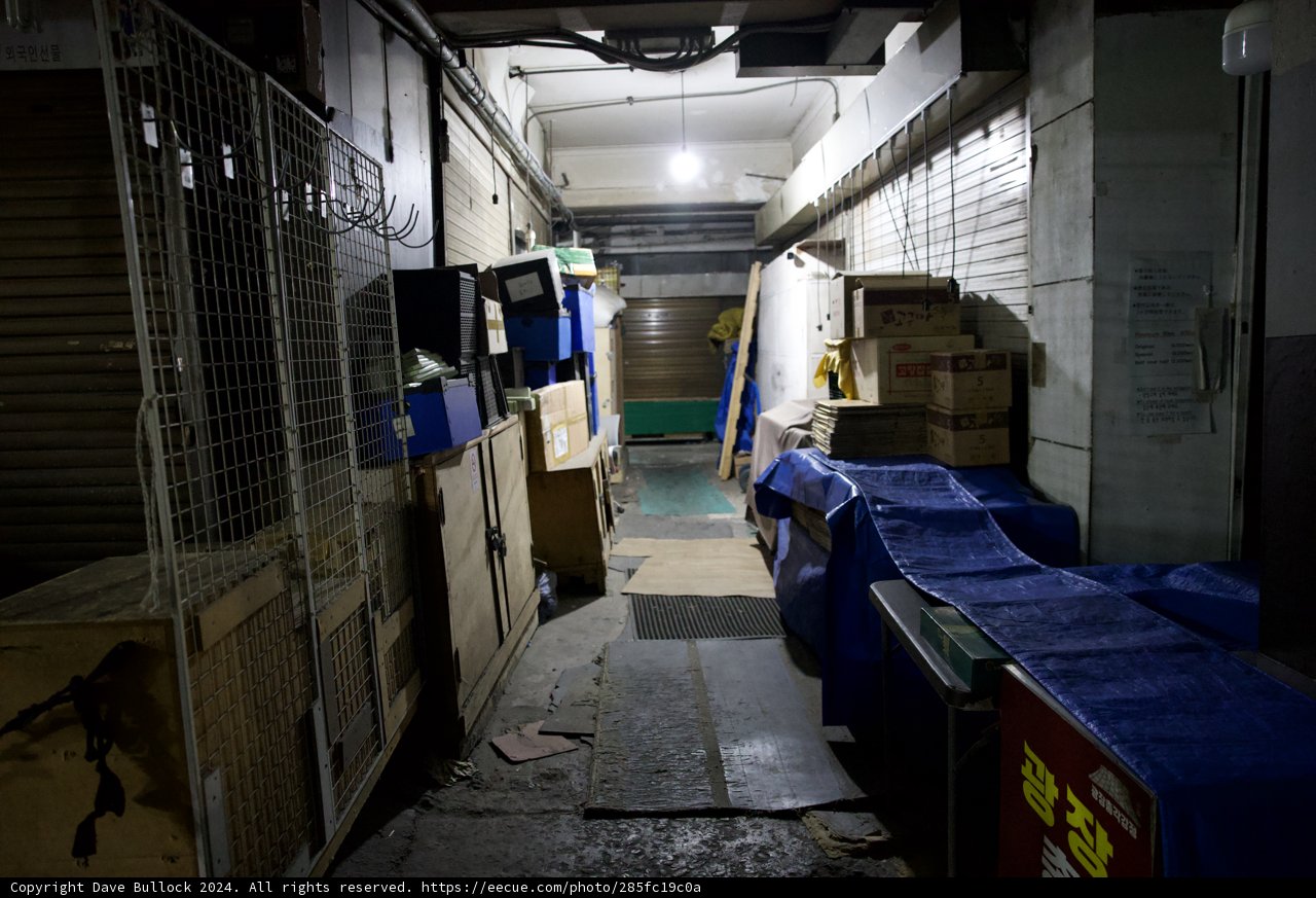 Urban Solitude: The Vibrant Alley of Korea