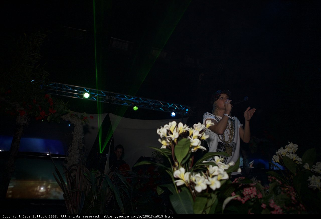Spotlight on the Flower Arrangements
