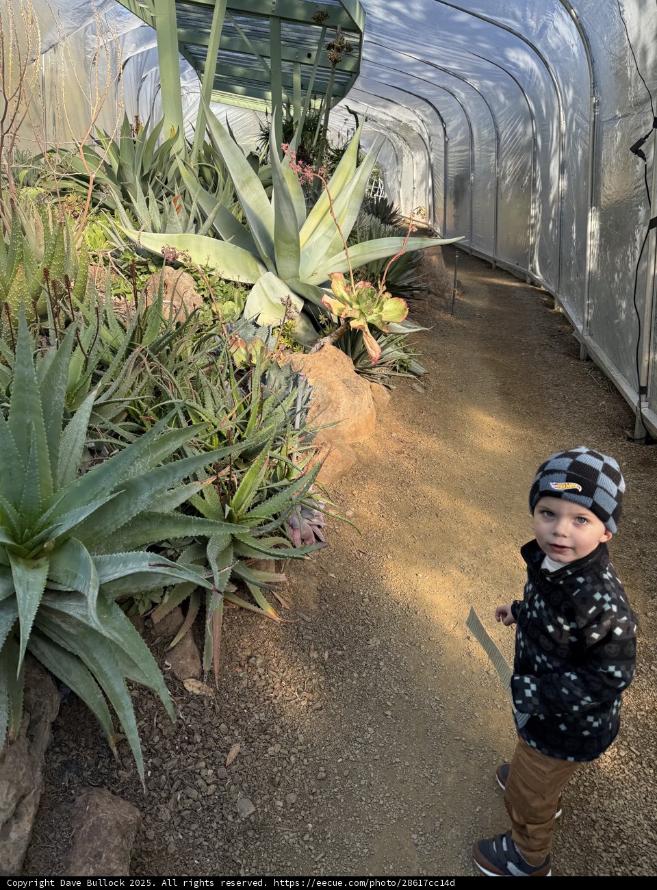Exploring Nature's Pathway