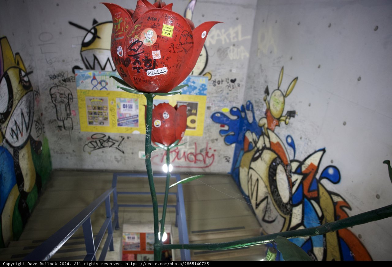 Balloon Fantasy in Urban Canvas - Korea 2024