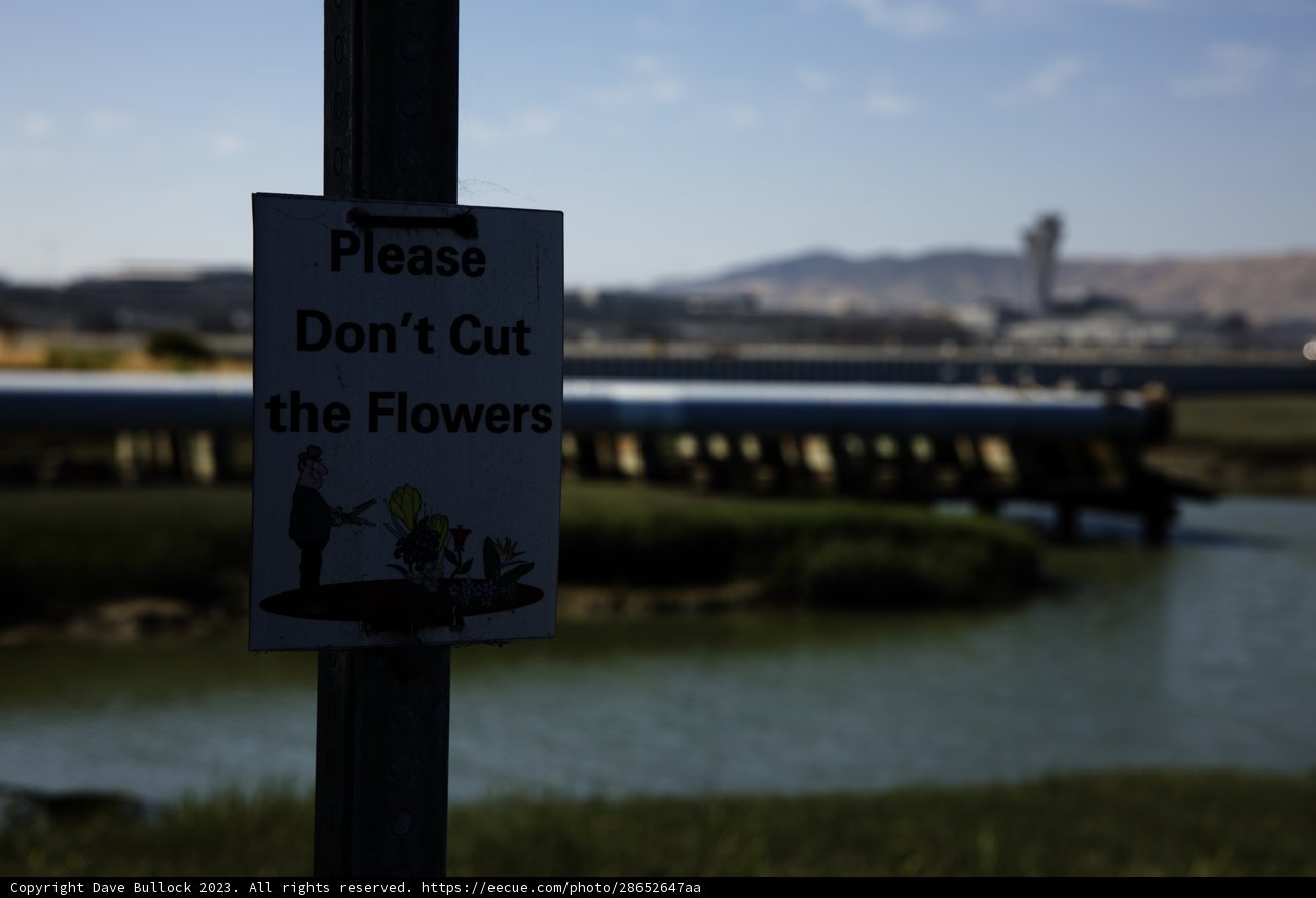 Echoing Nature's Plea, Bayfront Park