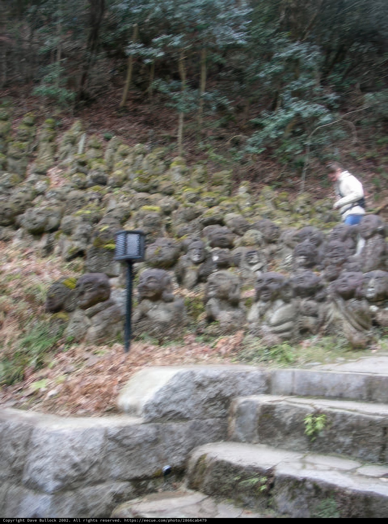 Strolling through the Stonewall Path