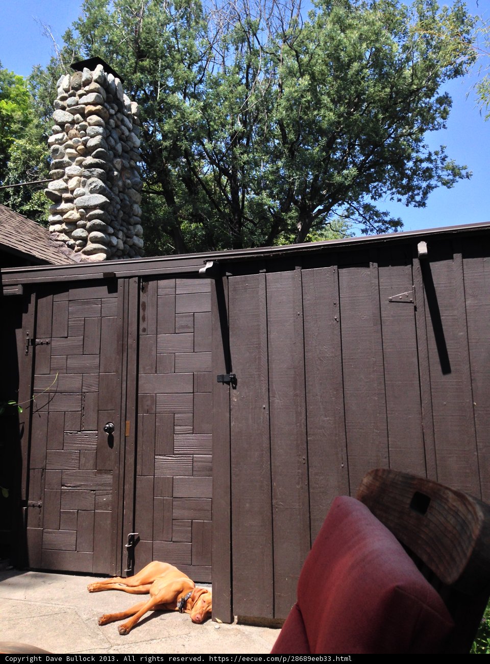 Patio Pooch