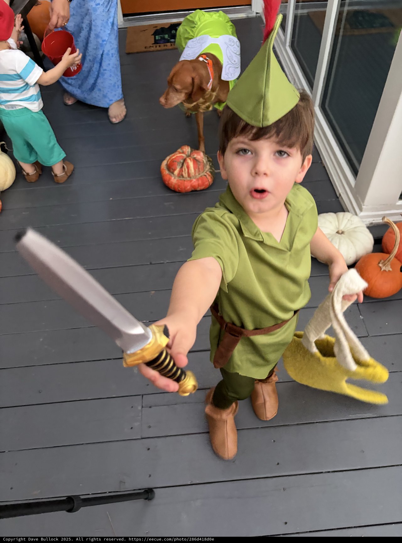 Young Boy in Peter Pan Costume with Sword