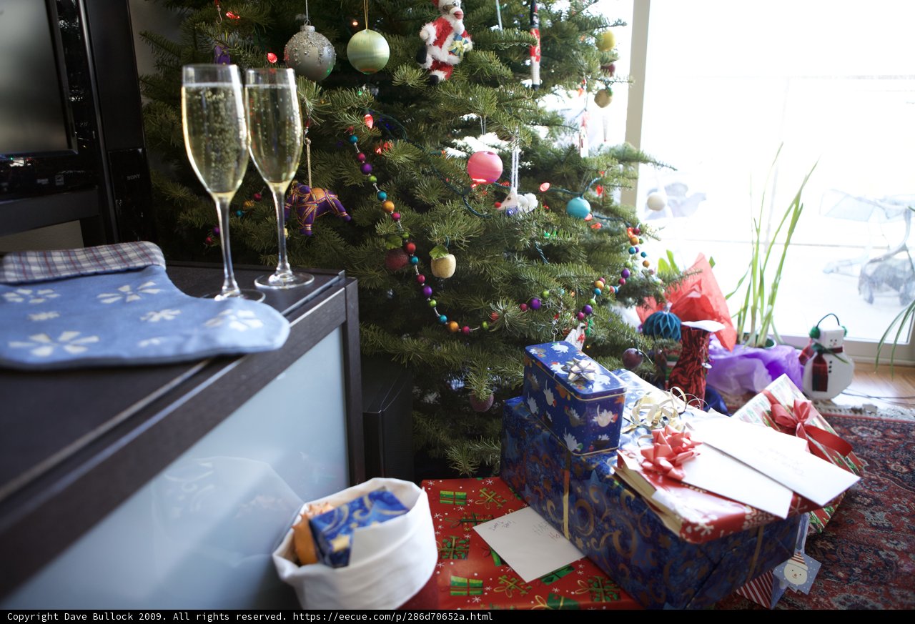 Festive Fir Tree