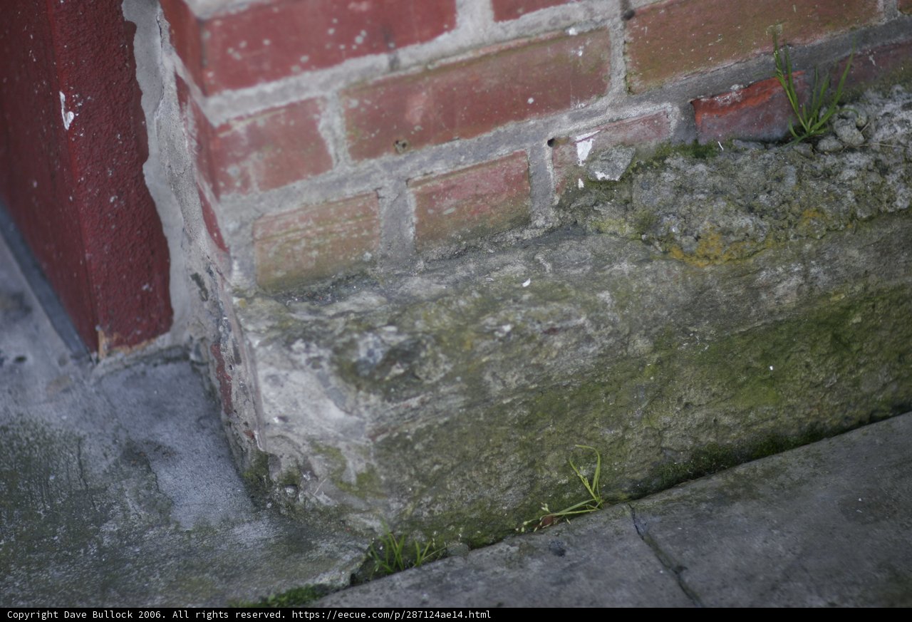The Greening of Brick and Slate