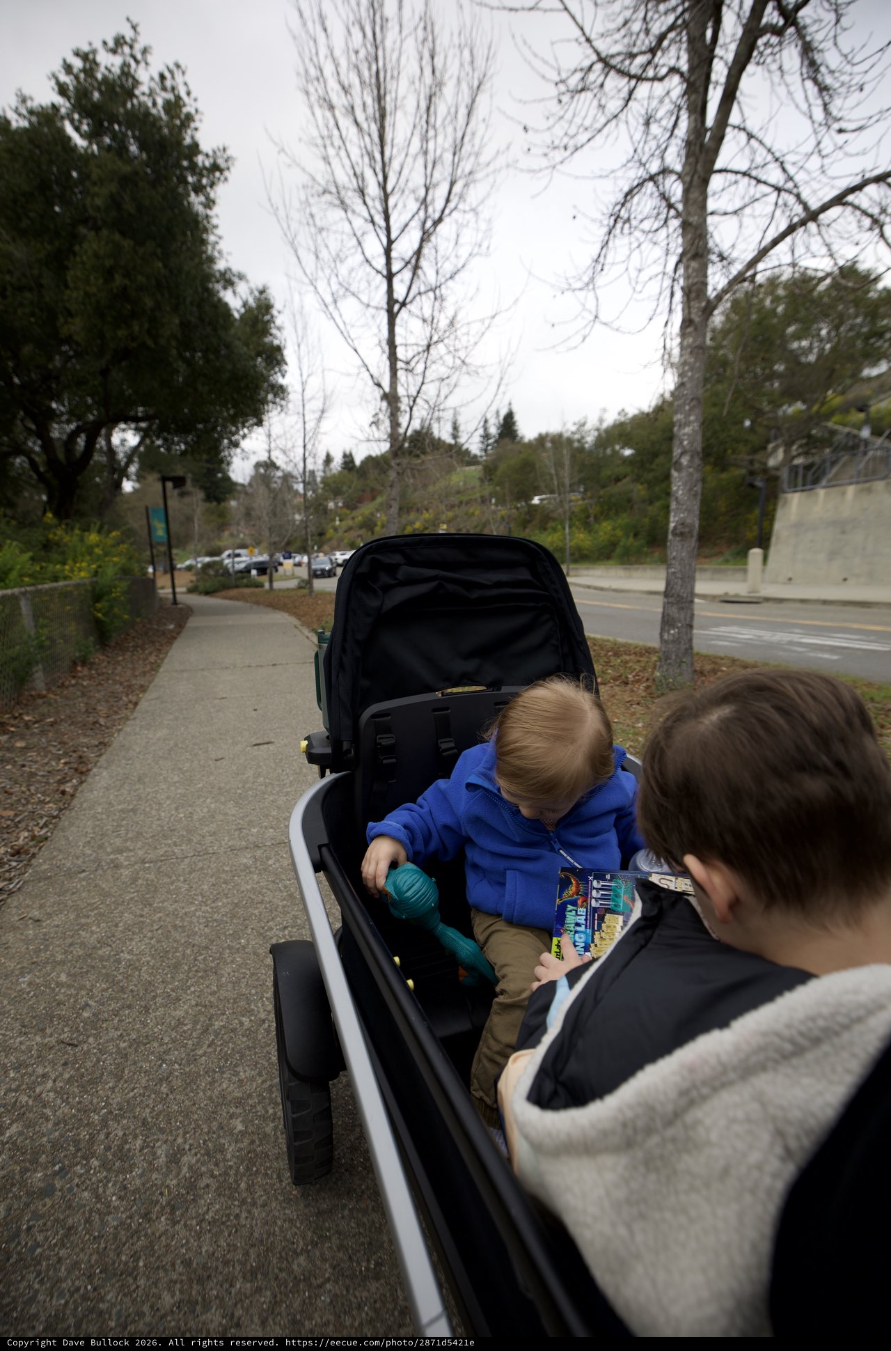 Family Bike Ride on a Quiet Suburban Path