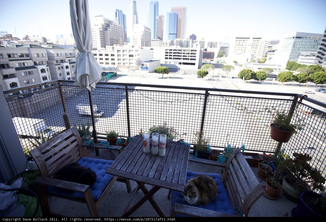 Relaxing on the Balcony