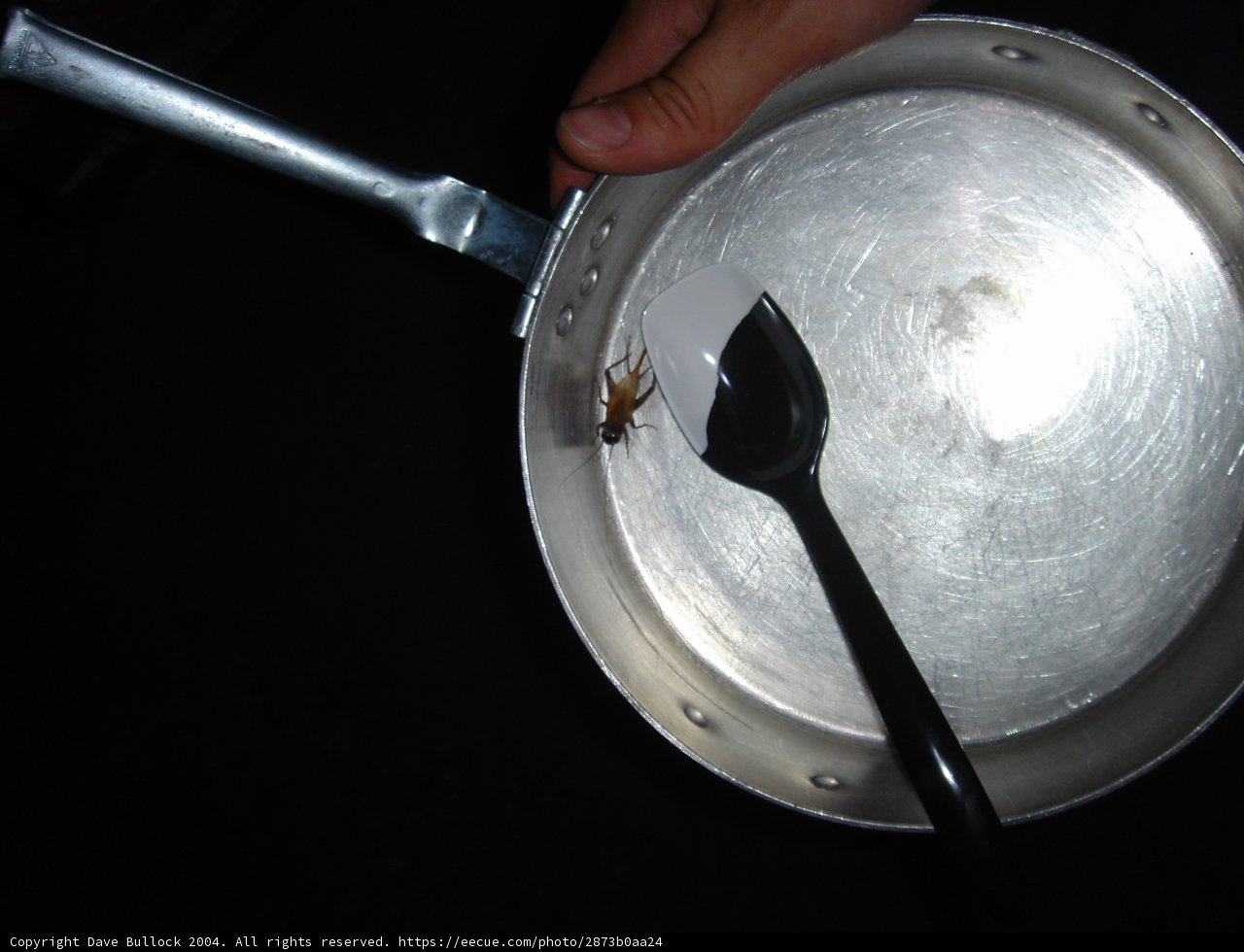 Cooking with Crawlers