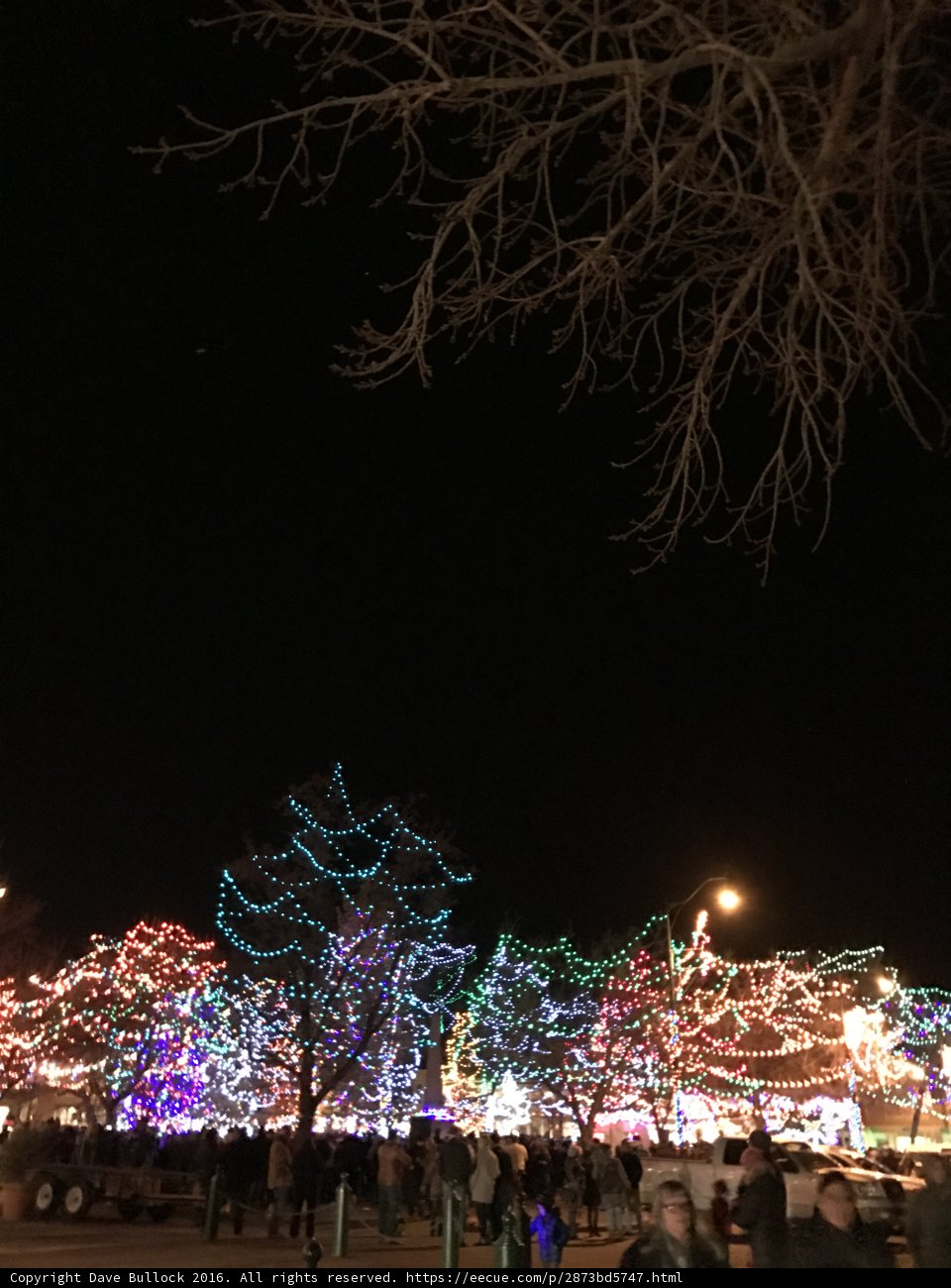 Tree Lighting Festival at Palace of the Governors