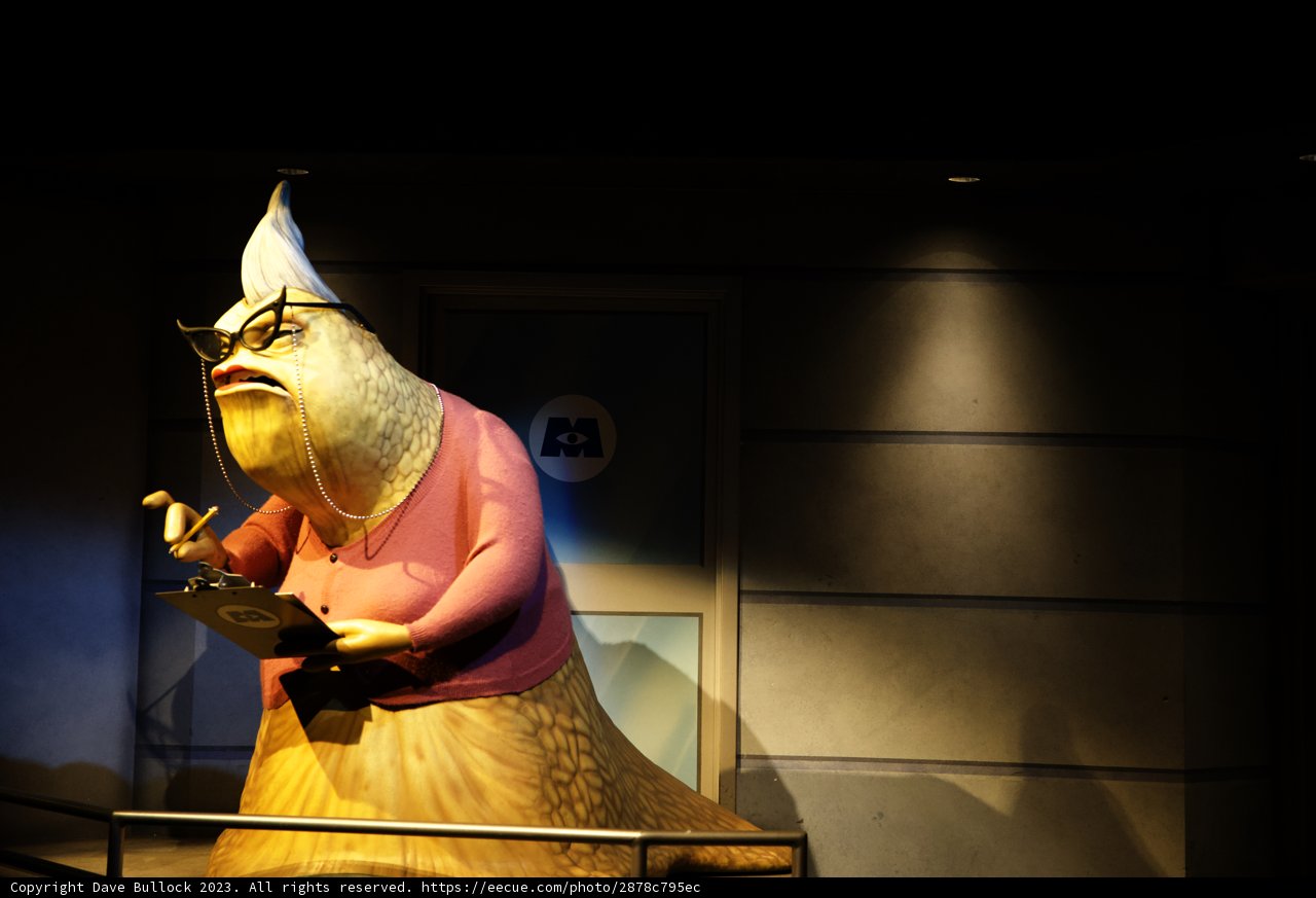 Stylish Statuesque Lady at Disneyland