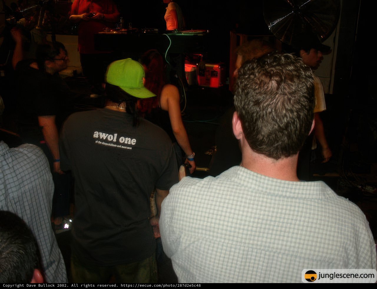 Nightclub Gathering