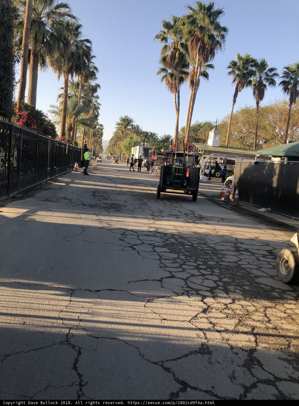 Riding into the Urban Jungle