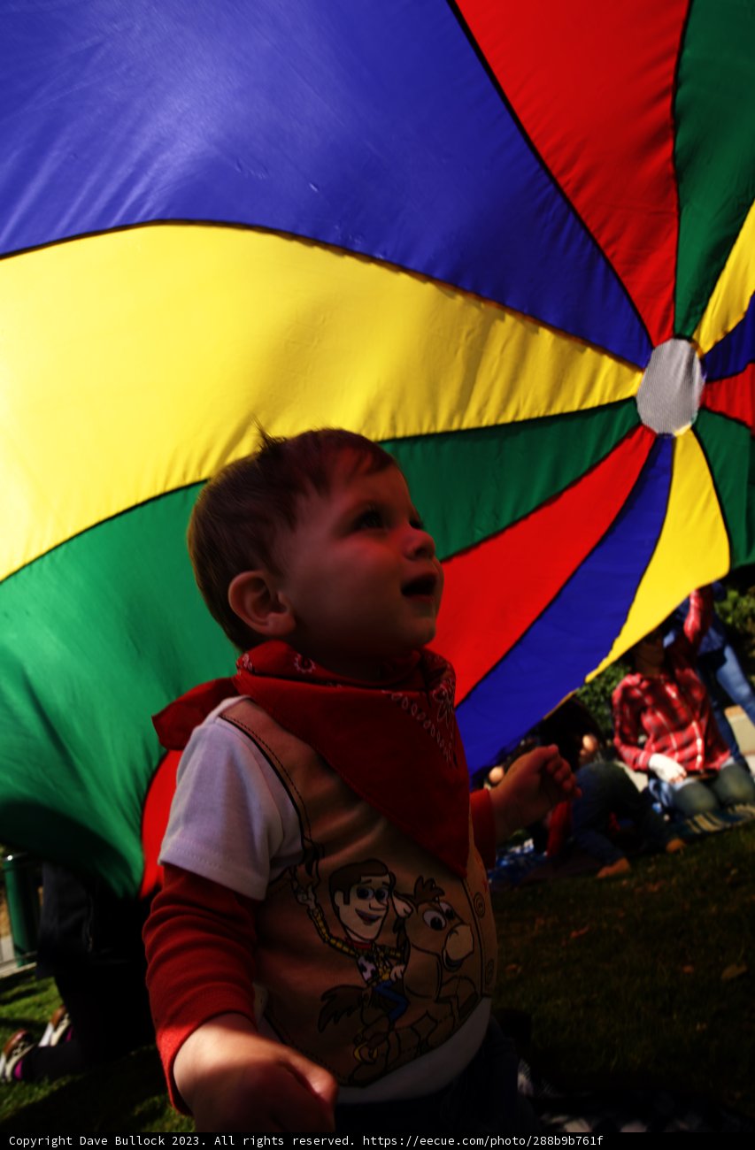 Under the Rainbow Umbrella: Wesley's First Birthday Bash