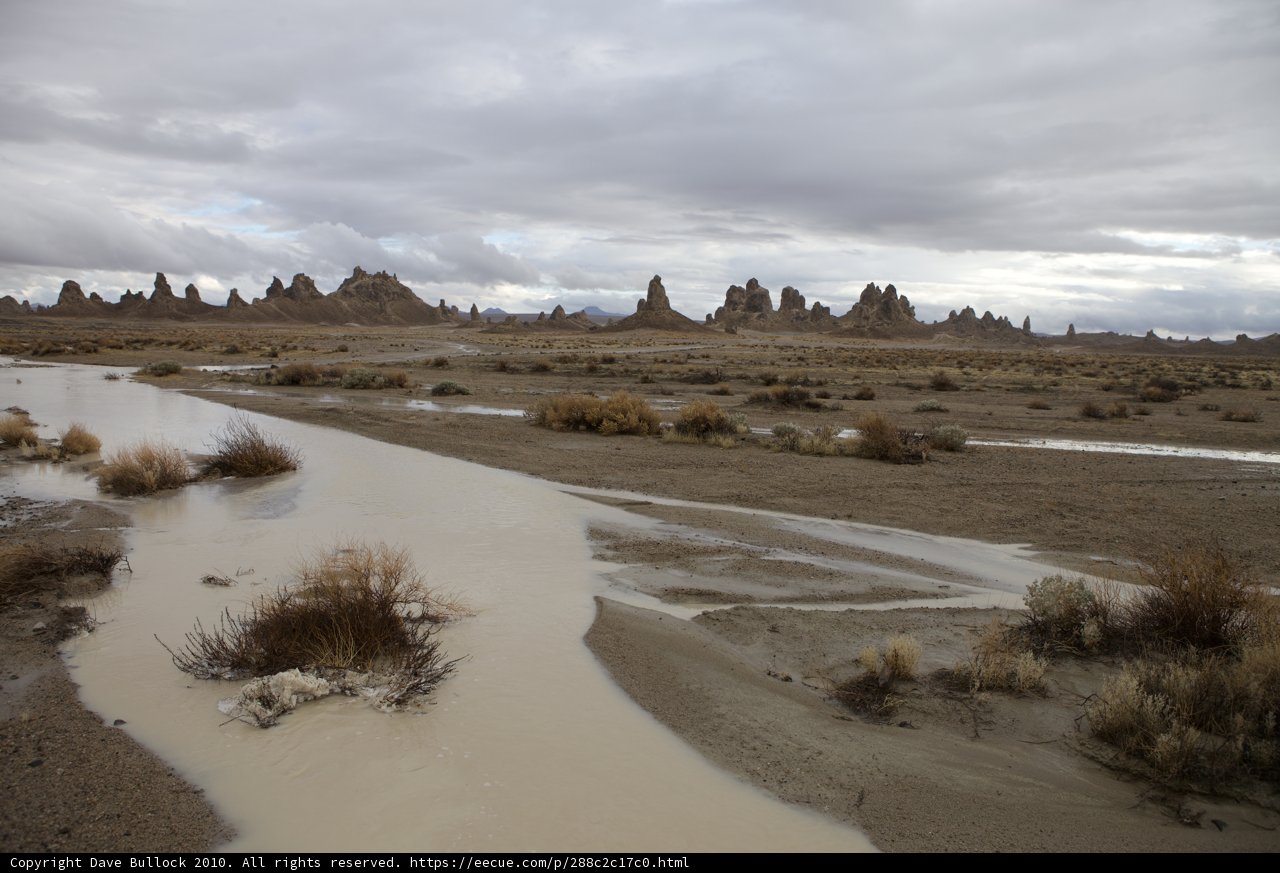 River oasis in the desert