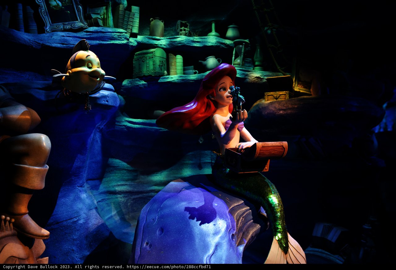 Magical Moments at Disneyland 2023