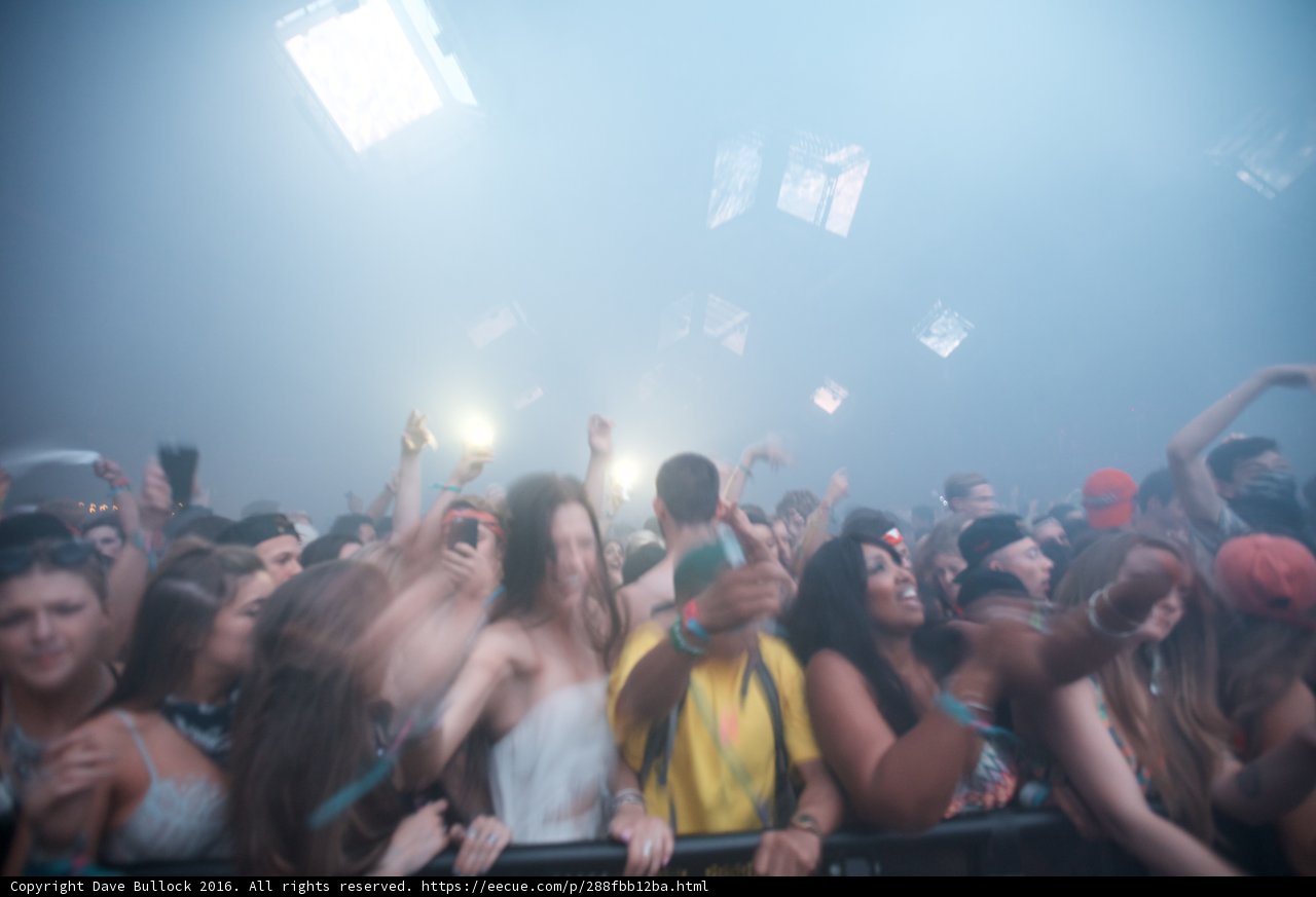 Grooving with the Urban Crowd