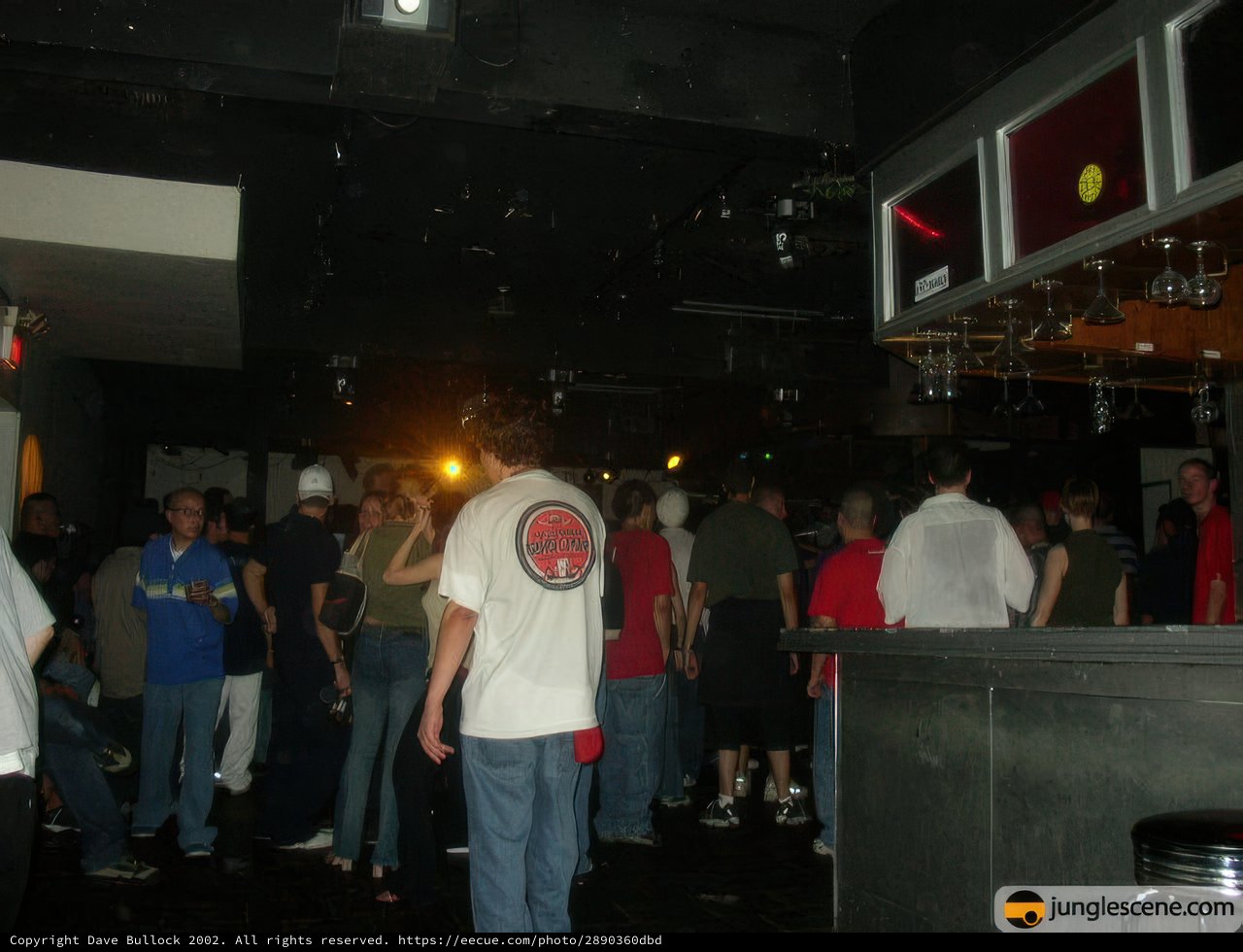 Nightclub Party Scene