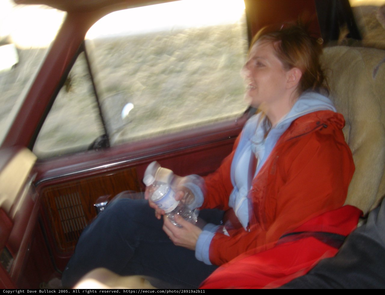 Woman Riding in Classic Car Through Desert Terrain