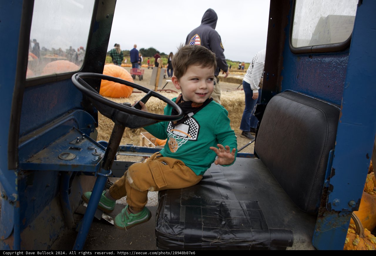 Young Explorer in the Pumpkin Patch
